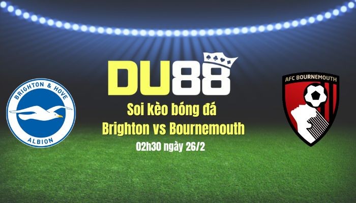 DU88 Soi kèo bóng đá Brighton vs Bournemouth, 02h30 ngày 26/2: Giành điểm ở tổ Chim mòng biển